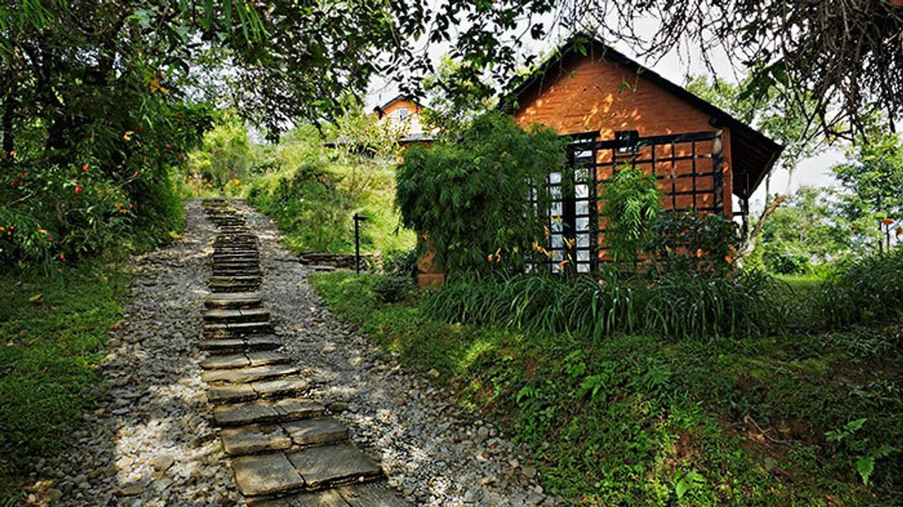 Path leading to a secluded cottage at Tiger Mountain Lodge