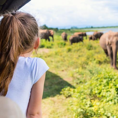 Sri Lanka girl looking at elephant