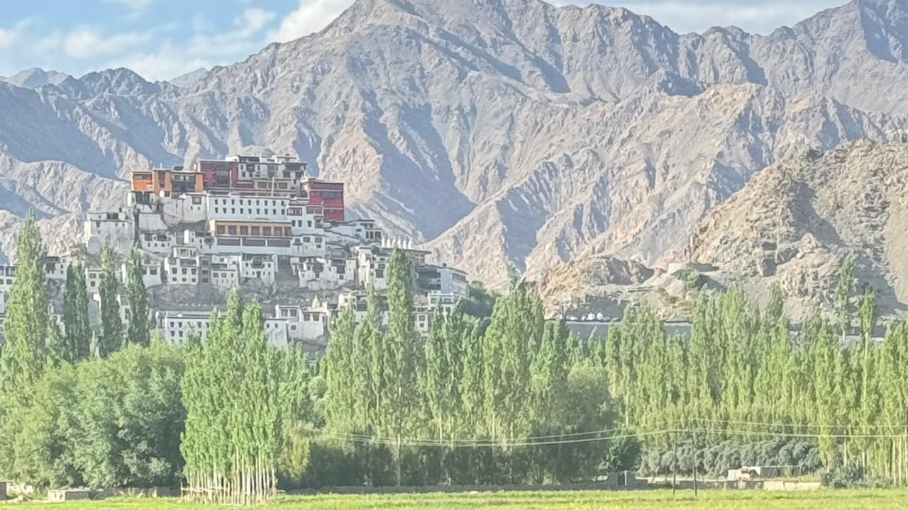 Ladakh monastery views