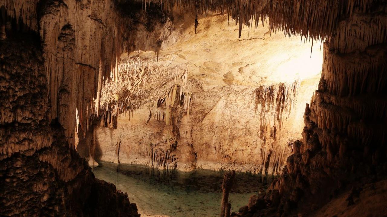 Stalactites and stalagmites in Phong Nha
