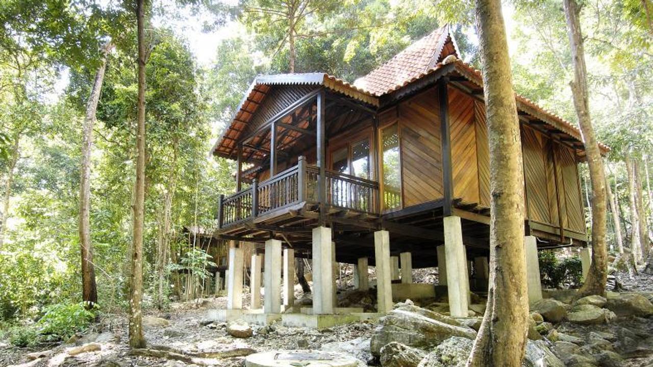 Rainforest chalet