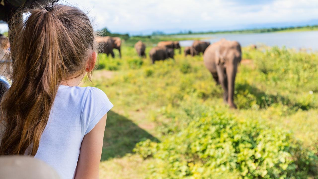 Elephants safari Sri Lanka family holidays to Asia