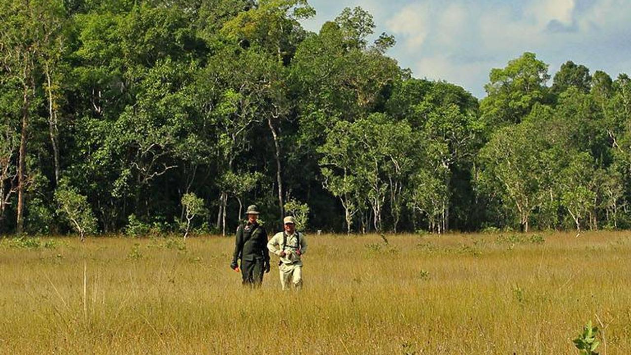 Hiking at Cardamom Tented Camp