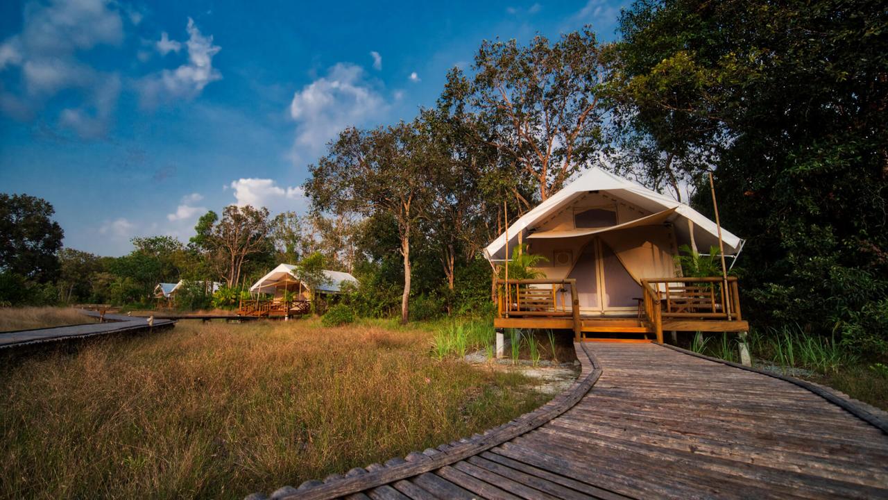 Tented lodges at Cardamom Tented camp