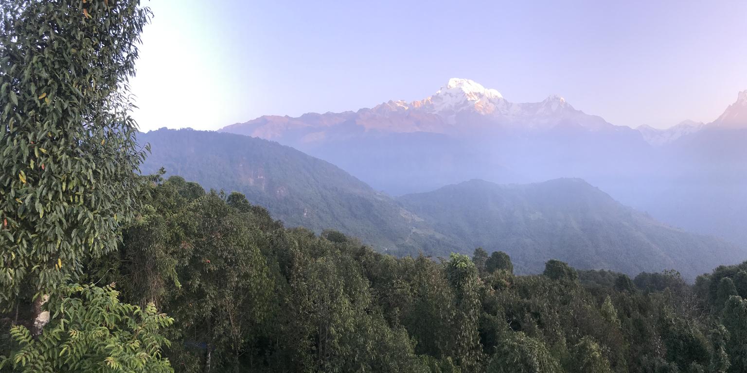 View of the Himalayas from a Nepalese hillside