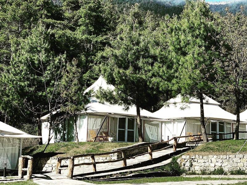 Two pavilion villas surrounded by trees