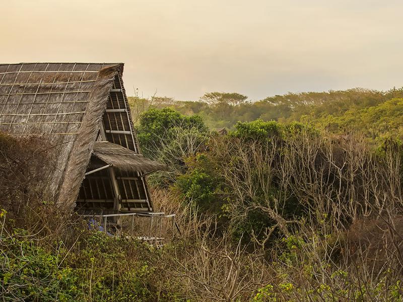 Jeeva Beloam Beach Camp bungalow surrounded by wild brush