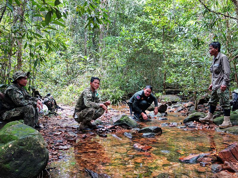 Rangers cooling off in a forest stream