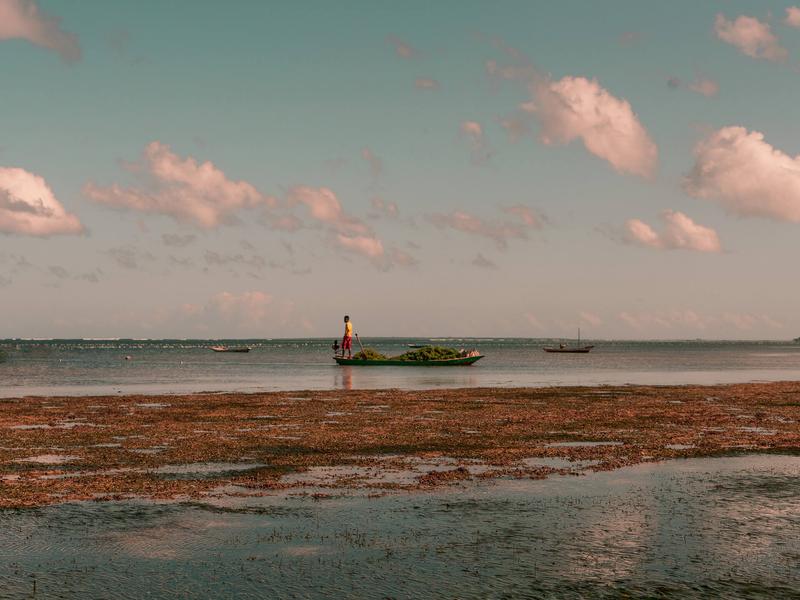 Man standing on a boat in the shallows near Rote Island Timor Indonesia